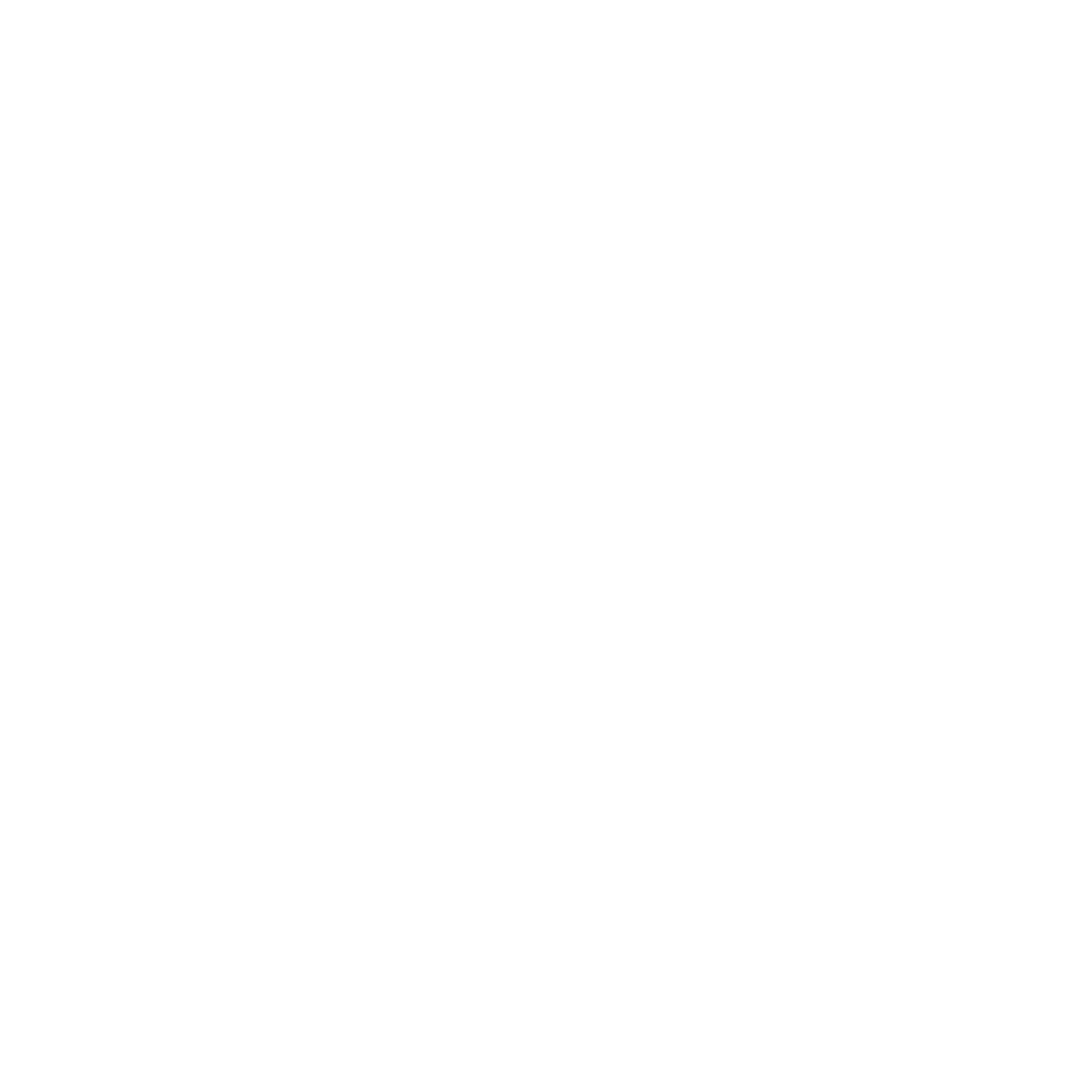 Mentoría Presencial.